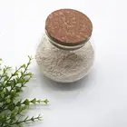 wholesale bulk organic rice protein powder as vegan food
