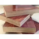 Cheap New design building materials plywood/marine ply wood for promote sales