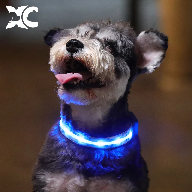 carved rechargeable leather glow electric small dog accessories training collar skock personalized metal buckle led nylon light
carved rechargeable leather glow electric small dog accessories training collar skock personalized metal buckle led nylon light