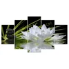 Modern Giclee Prints Framed Flower Artwork White Lotus and Black Zen Stones Picture Print to Photo Printed Paintings on Canvas