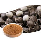Moringa Seed Extract Seed Herb Supplement Natural Moringa Seed Extract Powder Moringa Extract