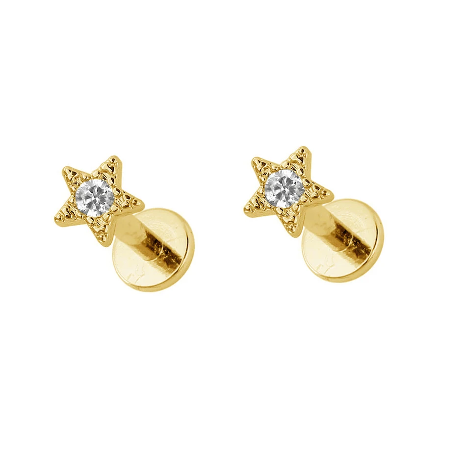 Minimalist Jewelry Earrings For Women 925 Sterling Silver Wholesale 18K Gold Plated Star Stud Earrings With Cubic Zircon
Minimalist Jewelry Earrings For Women 925 Sterling Silver Wholesale 18K Gold Plated Star Stud Earrings With Cubic Zircon