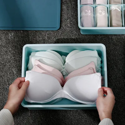 Underwear Storage Box With Lid Dustproof Storage Box Compartment Underwear Bra Socks Household Plastic Packing Box, As show
Underwear Storage Box With Lid Dustproof Storage Box Compartment Underwear Bra Socks Household Plastic Packing Box, As show