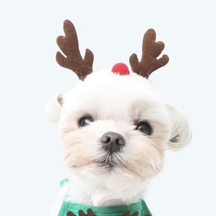 Wholesale New Pet Hat Christmas Tree Cats Dogs Christmas Party Hats Dog Christmas Outfit, Green
Wholesale New Pet Hat Christmas Tree Cats Dogs Christmas Party Hats Dog Christmas Outfit, Green
