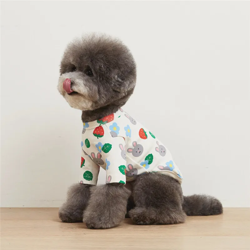 High Quality Love Bunny Designer Modal Cotton Fancy Small Dog Shirts Dog Spring Summer Clothes
High Quality Love Bunny Designer Modal Cotton Fancy Small Dog Shirts Dog Spring Summer Clothes