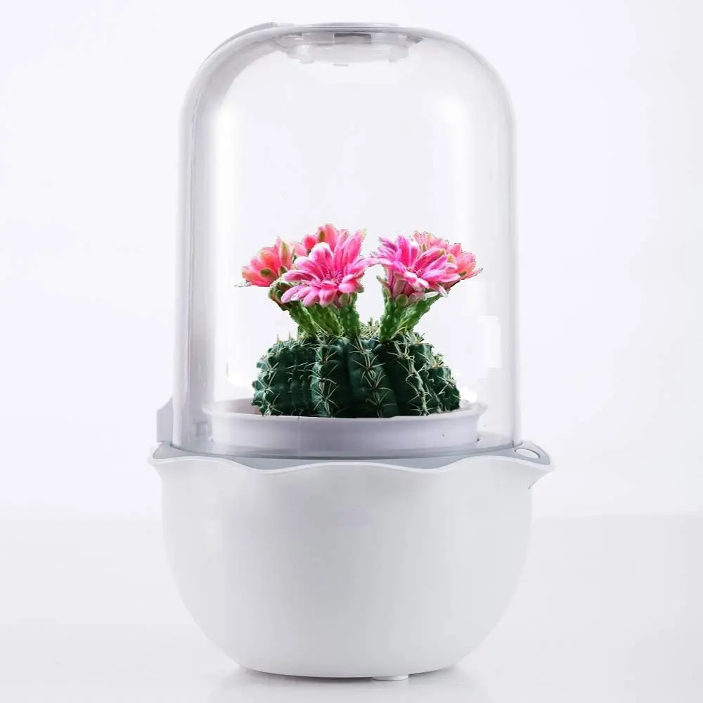 Artificial Succulent Plants high quality succulent grow green indoor pot wholesale, White
Artificial Succulent Plants high quality succulent grow green indoor pot wholesale, White