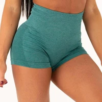 Seamless Jacquard Women Running Shorts Fitness Sports tight gym shorts active yoga wear
Seamless Jacquard Women Running Shorts Fitness Sports tight gym shorts active yoga wear