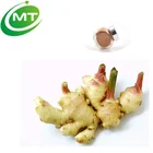Free Sample Ginger Root Powder Ginger Extract powder