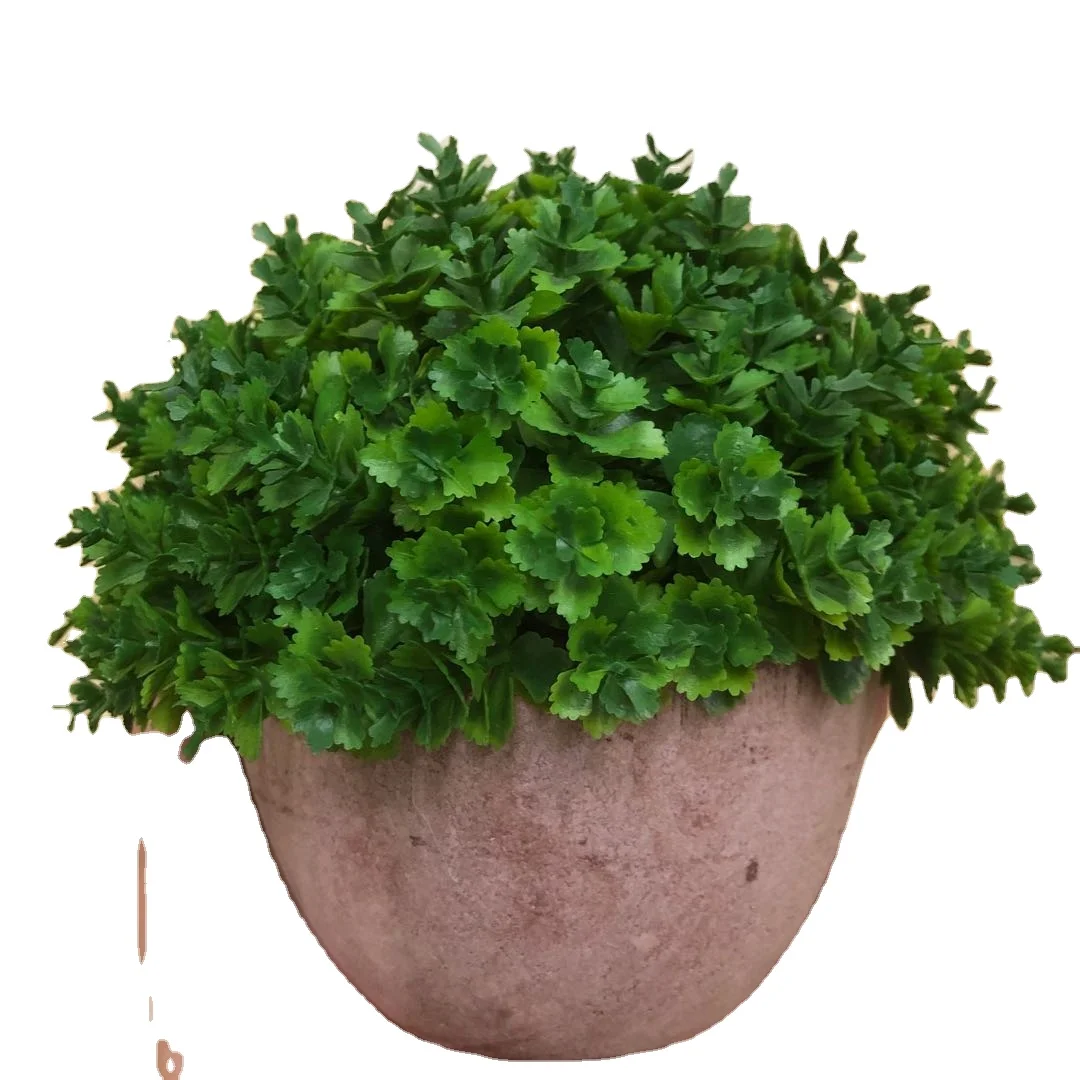 Gold suppliers make miniature artificial potted plants and decorate them with ancient semi-round lucky miniature bonsai, Customized
Gold suppliers make miniature artificial potted plants and decorate them with ancient semi-round lucky miniature bonsai, Customized