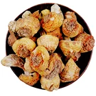 Dried Natural Agaricus Blazei Murill Mushroom