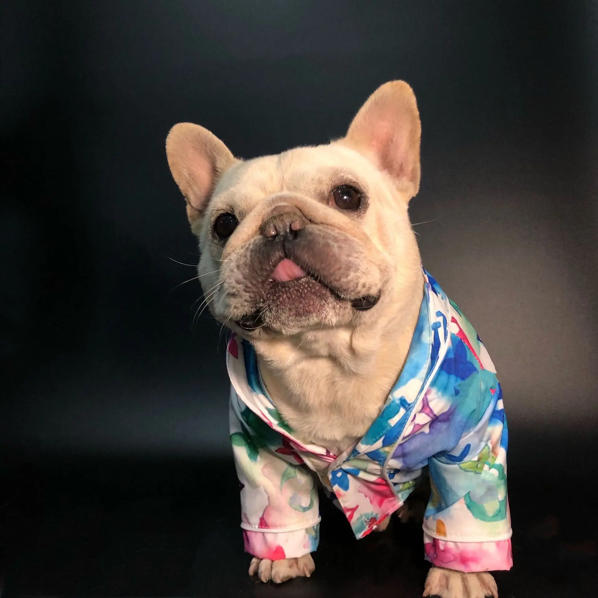 Custom printed luxury logo pet pajamas designer dog clothes lovely dog shirt 
Custom printed luxury logo pet pajamas designer dog clothes lovely dog shirt