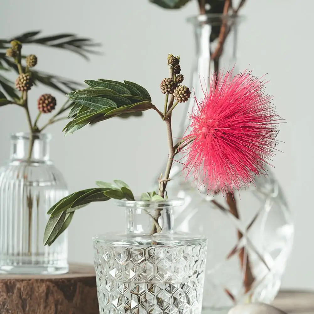 2020 Creative mini dry flower florist transparent glass bottle vase wedding more options
2020 Creative mini dry flower florist transparent glass bottle vase wedding more options