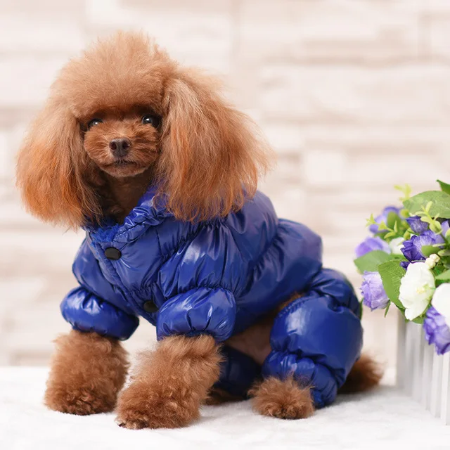 Pet Dog Winter Coat Jacket Small Dog Clothes Warm Windproof Dog Puppy Chihuahua Clothing, 5 colors
Pet Dog Winter Coat Jacket Small Dog Clothes Warm Windproof Dog Puppy Chihuahua Clothing, 5 colors
