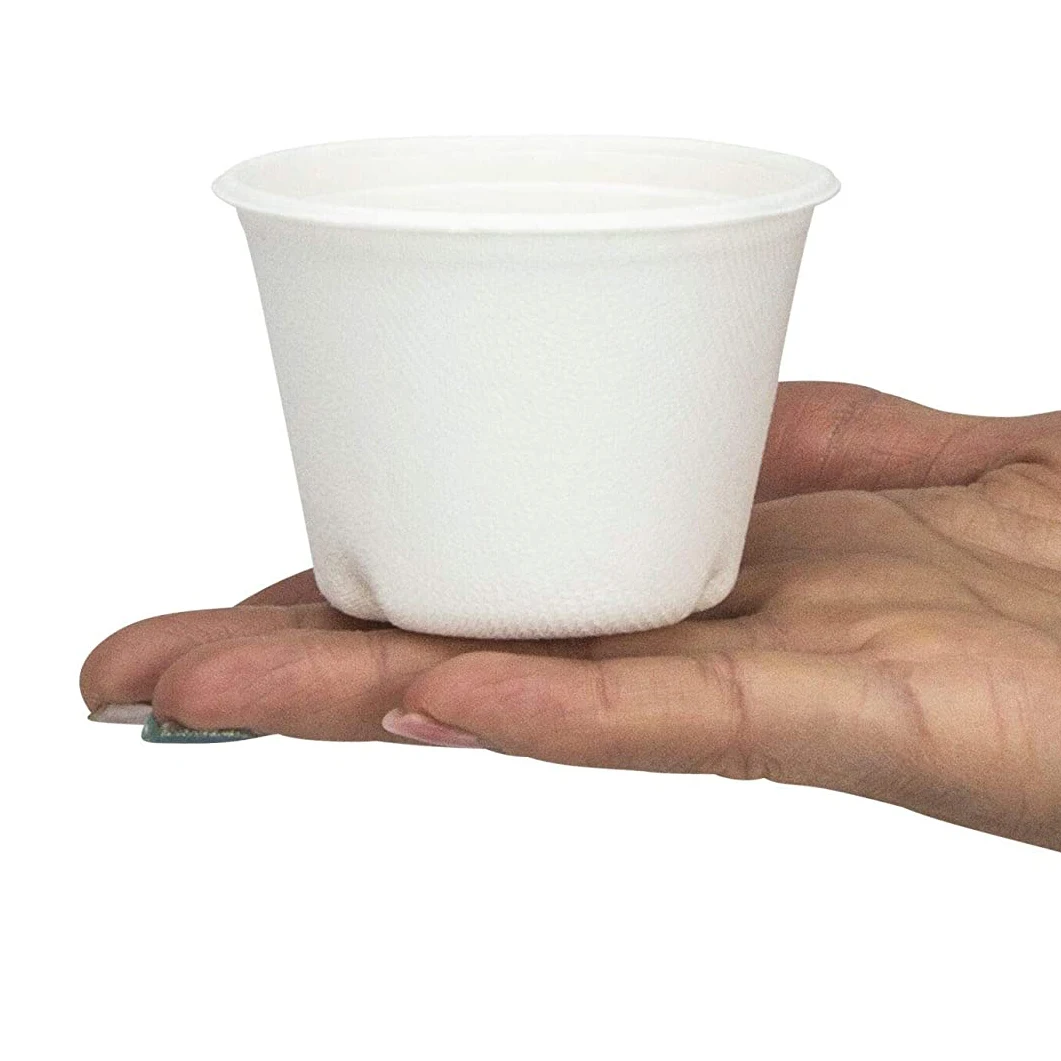 Compostable Paper Cup for Hot Liquids Sugarcane Bagasse Small Tea Cup Paper Disposable Paper Coffee Cups with Lid
Compostable Paper Cup for Hot Liquids Sugarcane Bagasse Small Tea Cup Paper Disposable Paper Coffee Cups with Lid