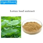 Powder Powder Weight Loss Ingredient Lotus Leaf Extract Powder
