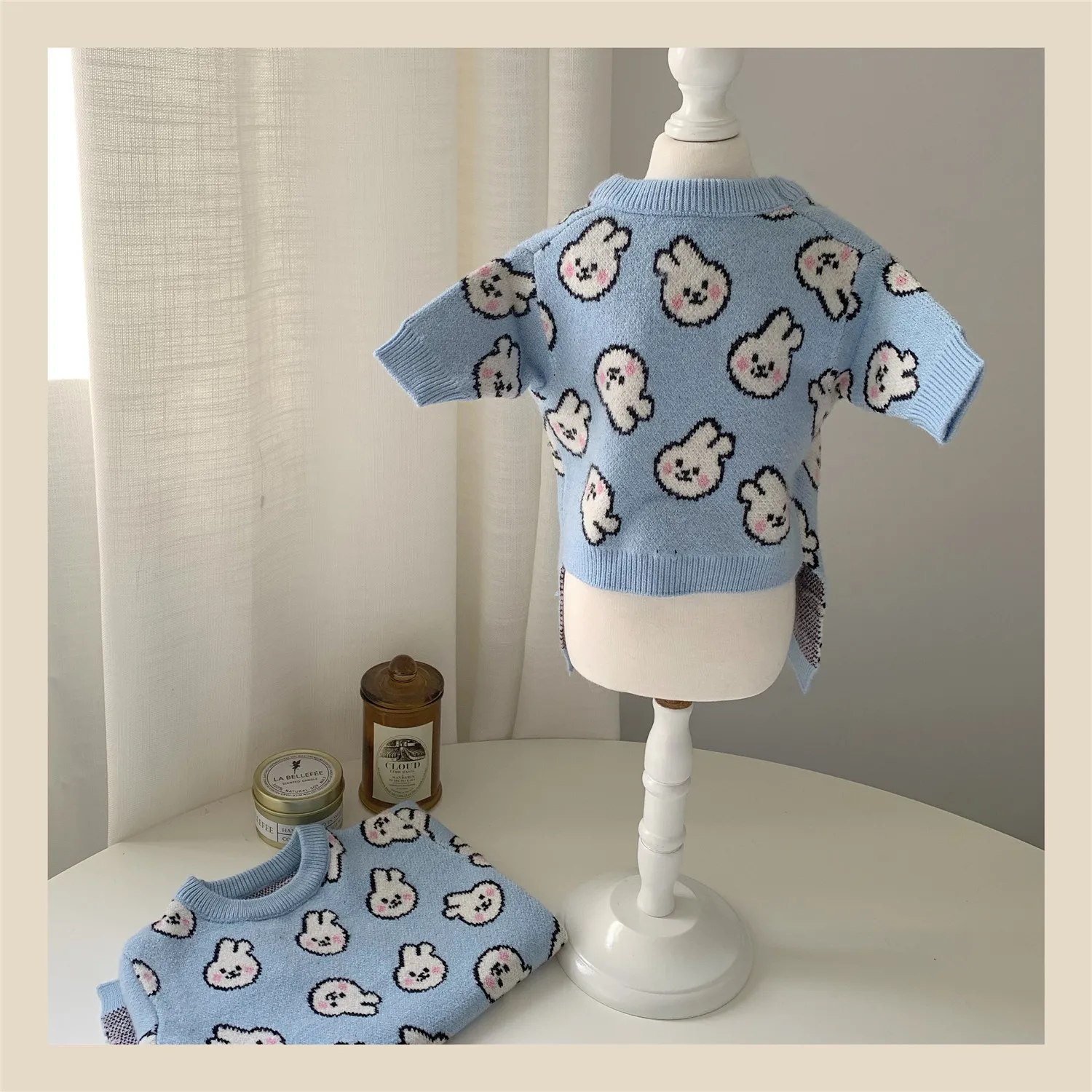 INS New Style Cute Pet Dog Sweater Pet Dog Cartoon Rabbit Printed Thicken Warm Sweater, Blue
INS New Style Cute Pet Dog Sweater Pet Dog Cartoon Rabbit Printed Thicken Warm Sweater, Blue
