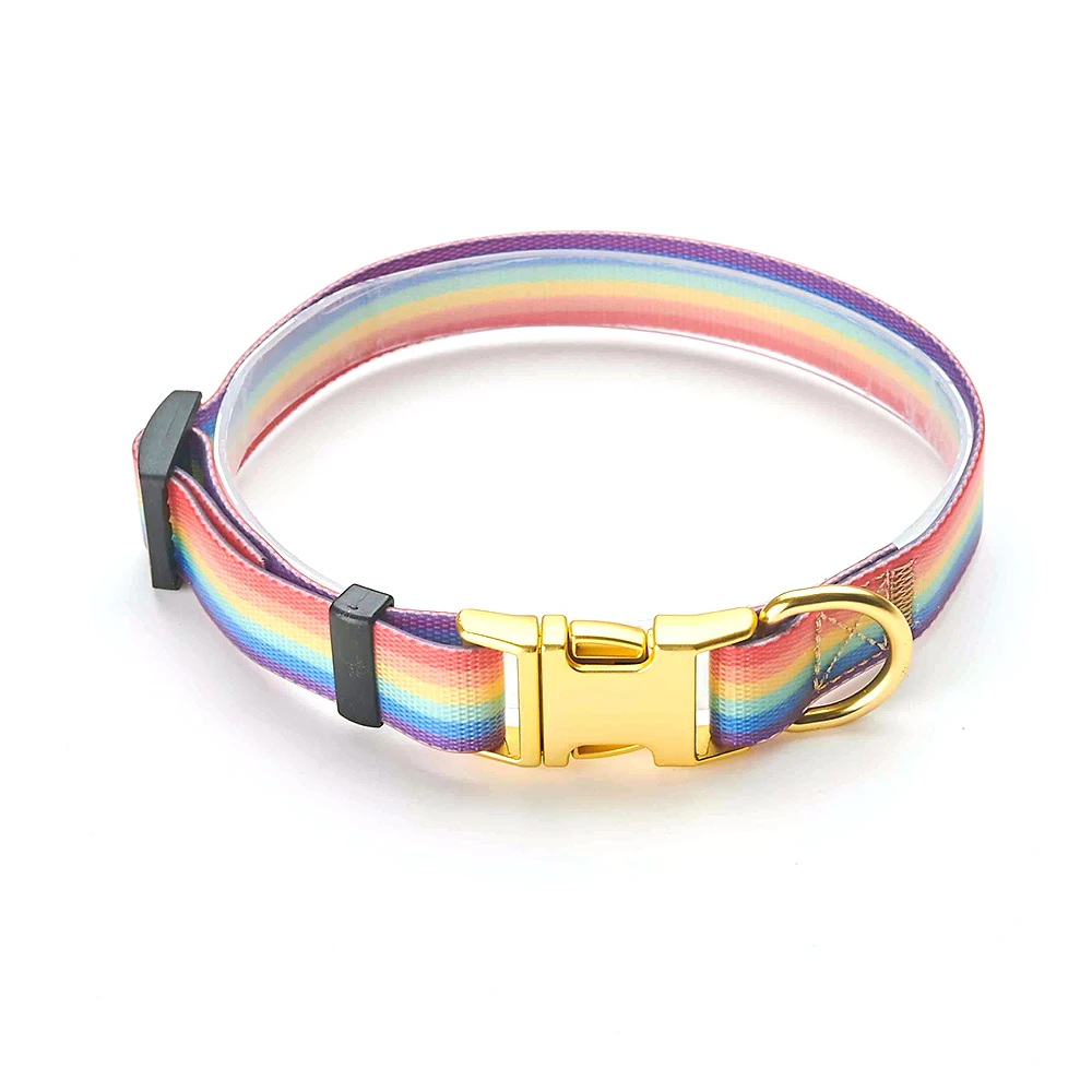 PVC dog collar 2021 Evernew Custom Adjustable Personalize Padded Comfort Pets Dog Collar
PVC dog collar 2021 Evernew Custom Adjustable Personalize Padded Comfort Pets Dog Collar