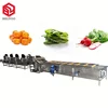 /product-detail/red-ate-spinach-vegetable-drying-equipment-leaf-vegetable-fruit-dehydrator-drying-avocado-washing-machine-fruit-washer-price-62274607752.html