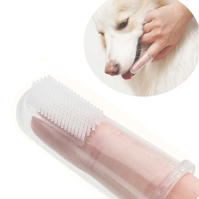 High Quality silicone finger sofe tooth brush tool teeth cleaning dog finger toothbrush for dog
High Quality silicone finger sofe tooth brush tool teeth cleaning dog finger toothbrush for dog