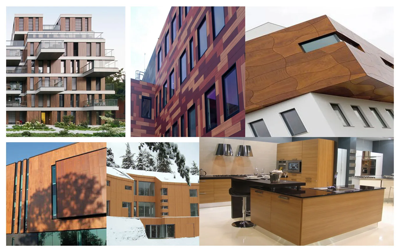 Wood Case Picture.jpg