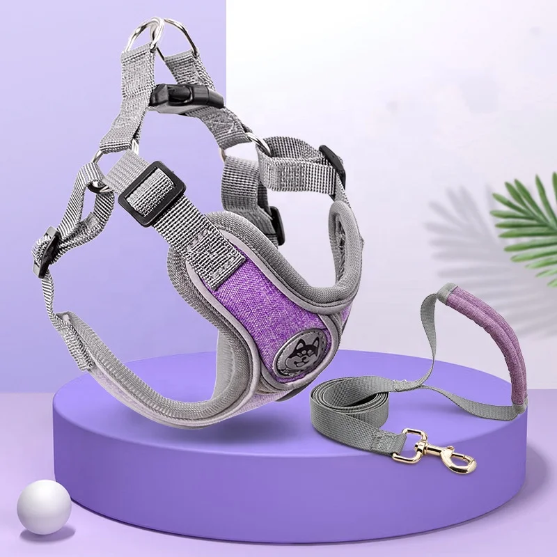 No Pull Dog and Harness Adjustable Gentle Comfortable Control for Easy Walking for Small Medium and Large Dog Leads and Collars
No Pull Dog and Harness Adjustable Gentle Comfortable Control for Easy Walking for Small Medium and Large Dog Leads and Collars