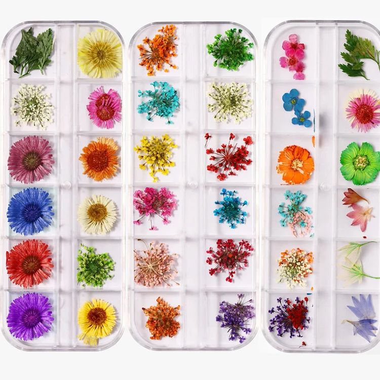 Top selling mixed colors natural pressed dry flower decoration mini nail art dry flower, As shown
Top selling mixed colors natural pressed dry flower decoration mini nail art dry flower, As shown