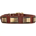 brass luxury topper beautiful large fashion dog collar fashion dog supplies