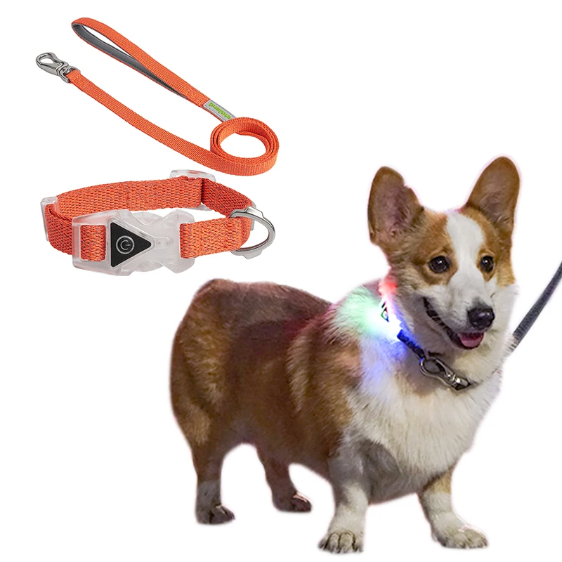 2021 Amazon High Quality Light Up Luminous Glowing Collares De Luz Para Mascostas Pets dog LED Collar And Leash, Red, green, grey or customized color
2021 Amazon High Quality Light Up Luminous Glowing Collares De Luz Para Mascostas Pets dog LED Collar And Leash, Red, green, grey or customized color