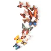/product-detail/3d-colorful-butterflies-wall-stickers-kids-pvc-removable-sticker-62318167477.html