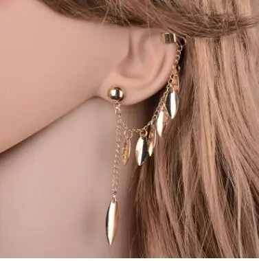 Punk Tassel Leaf Earrings For Women Personality Leaves Stud Earrings With Tassel Chain Ear Jewelry Dropshipping Brincos
Punk Tassel Leaf Earrings For Women Personality Leaves Stud Earrings With Tassel Chain Ear Jewelry Dropshipping Brincos