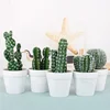 /product-detail/e-3059-nordic-ins-artificial-plant-in-pot-pu-mini-cactus-succulent-plants-indoor-decoration-62321645089.html