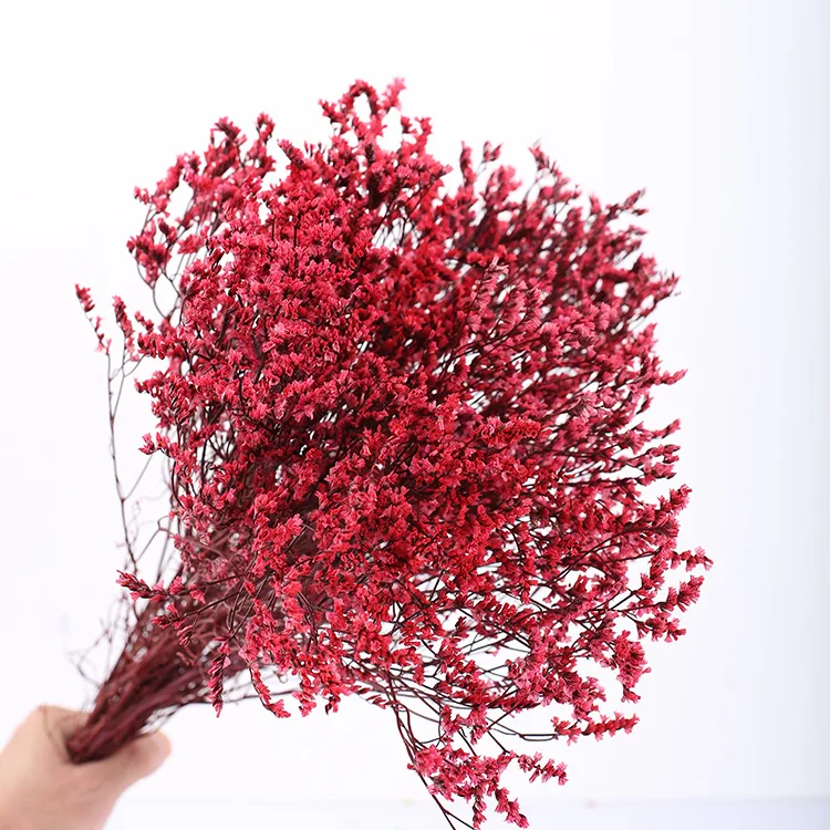 Dry flower wedding decoration crystal grass statice preserved eternal flowers statice german preserved statice
Dry flower wedding decoration crystal grass statice preserved eternal flowers statice german preserved statice