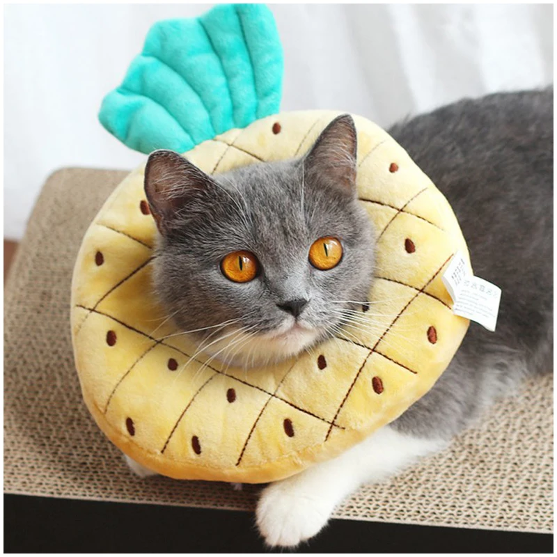 UFBemo cute fruit shape high quality wholesale Skin Friendly Sweet style pet collar
UFBemo cute fruit shape high quality wholesale Skin Friendly Sweet style pet collar