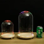 Decorative Glass Wholesale Display Decorative Jar Container Glass Dome Cloche For Candles