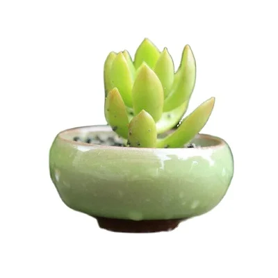 P277 Ceramic Flower Pot with Hole Home Desktop Decoration Mini Succulents Fleshy Flower pot, Colors
P277 Ceramic Flower Pot with Hole Home Desktop Decoration Mini Succulents Fleshy Flower pot, Colors