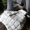 Soft Home Hotel Bedding Inner Polyester Microfiber/ Goose Duck Feather Down Duvet, Quilt, Goose Comforter