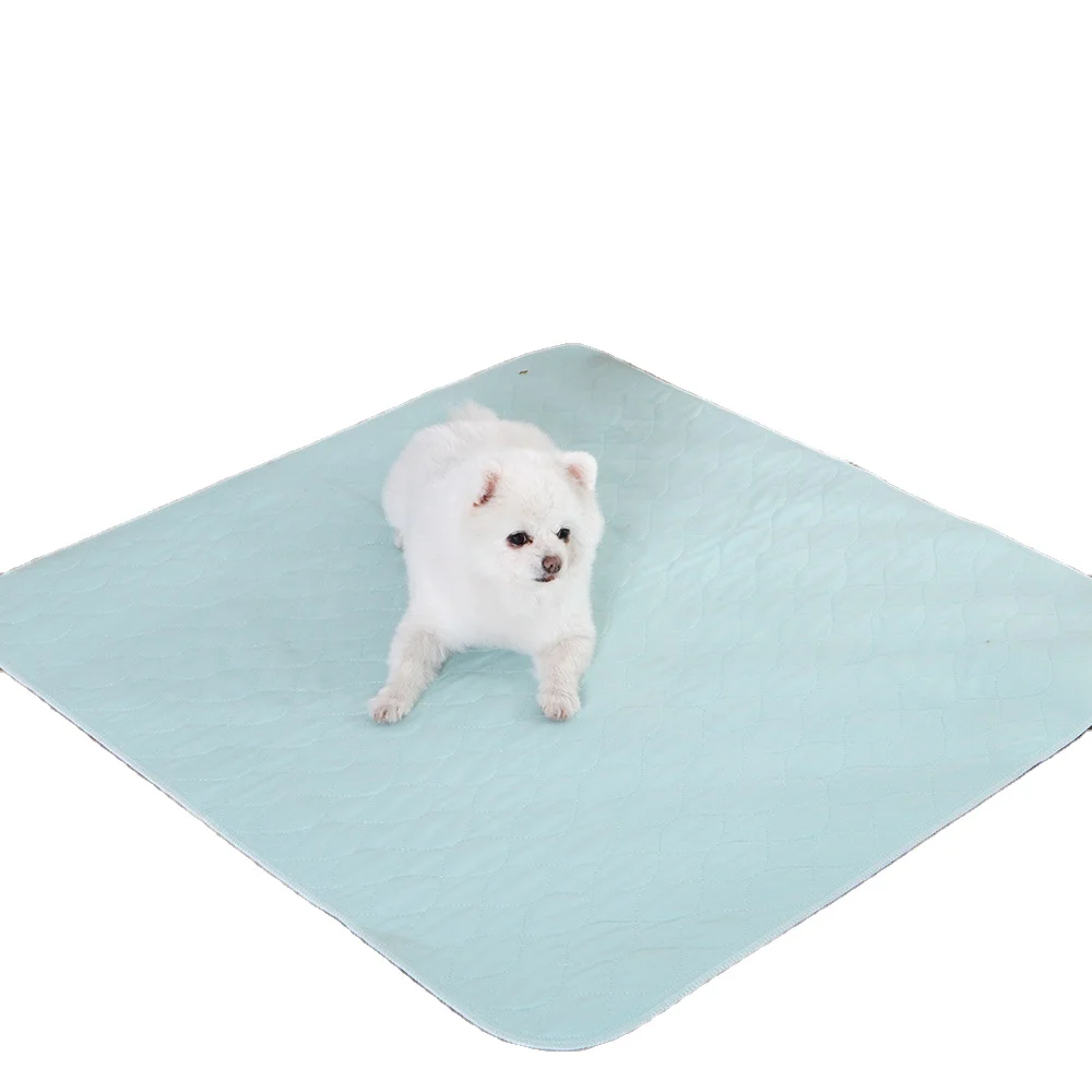Washable Puppy Toilet Training Pad Waterproof Pee Pad for Dogs and Cats/Rabbits
Washable Puppy Toilet Training Pad Waterproof Pee Pad for Dogs and Cats/Rabbits