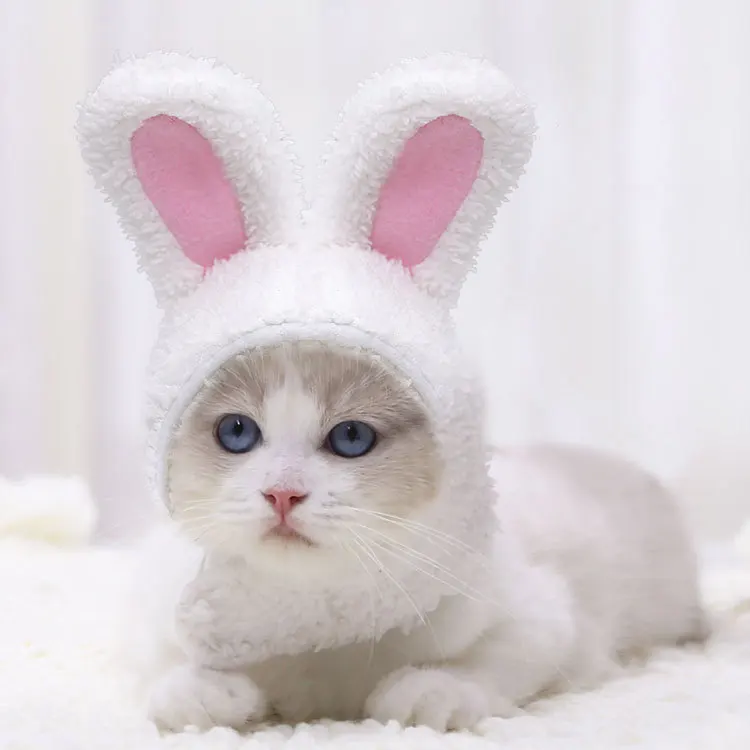 Hot Sale Fleece Warm Cute Winter Pet Accessories Cat Ears Hat Rabbit Design Hat, Pink
Hot Sale Fleece Warm Cute Winter Pet Accessories Cat Ears Hat Rabbit Design Hat, Pink