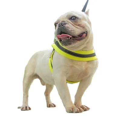 Wholesale chest strap dog leashes pet vest type tow rope size custom dog harness, 4 colors
Wholesale chest strap dog leashes pet vest type tow rope size custom dog harness, 4 colors