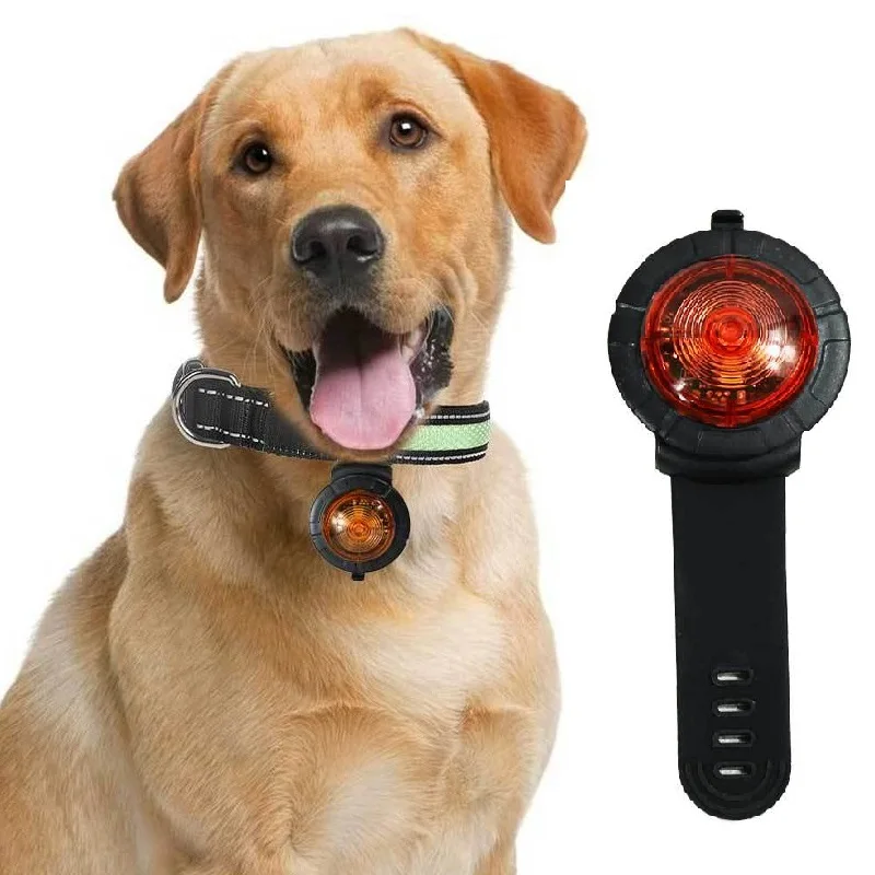New Waterproof Usb Charge Necklace Anti-lost Light Up Night Safety Glow Led Dog Pet Collar Clip Tag With line, Colors
New Waterproof Usb Charge Necklace Anti-lost Light Up Night Safety Glow Led Dog Pet Collar Clip Tag With line, Colors