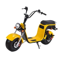 high quality fashionable big wheel electric scooter citycoco vehicles motorcycle Euro warehouse
high quality fashionable big wheel electric scooter citycoco vehicles motorcycle Euro warehouse