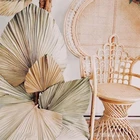 QSLH V890 Natural Color Dried Flower Big Dried Palm Leaves For Wedding Decor