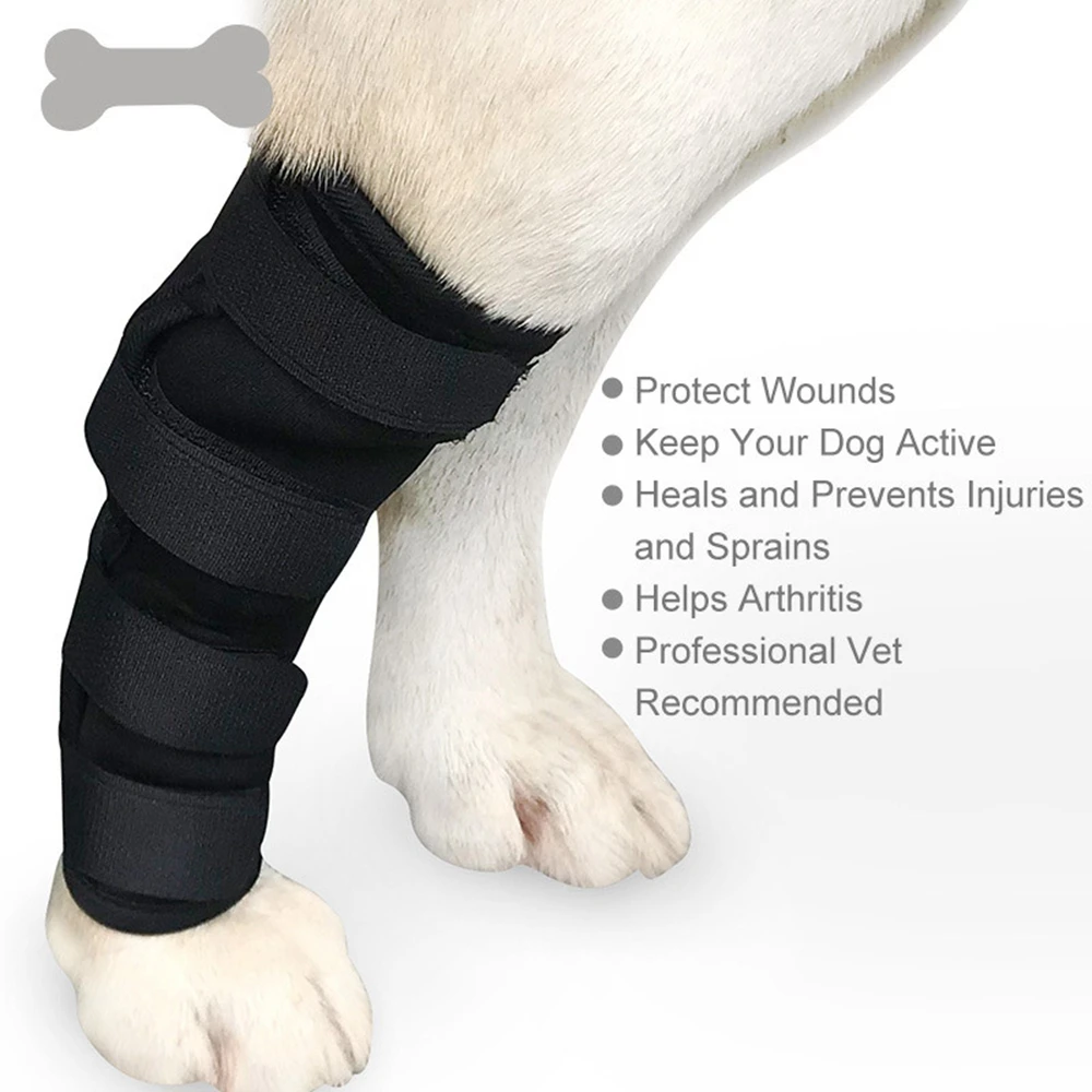 

Factory Wholesale Dog Rear Leg Braces High Quality Joint Wrap Knee Brace For Dog Canine Hind Hock Wraps For Injury Protection, Black