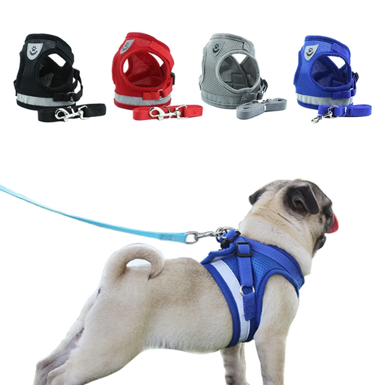 Cat Dog Harness Custom Walking Lead Reflective Breathable Dog Harness Set Air Nylon Mesh Adjustable Dog Harness, Colorful
Cat Dog Harness Custom Walking Lead Reflective Breathable Dog Harness Set Air Nylon Mesh Adjustable Dog Harness, Colorful