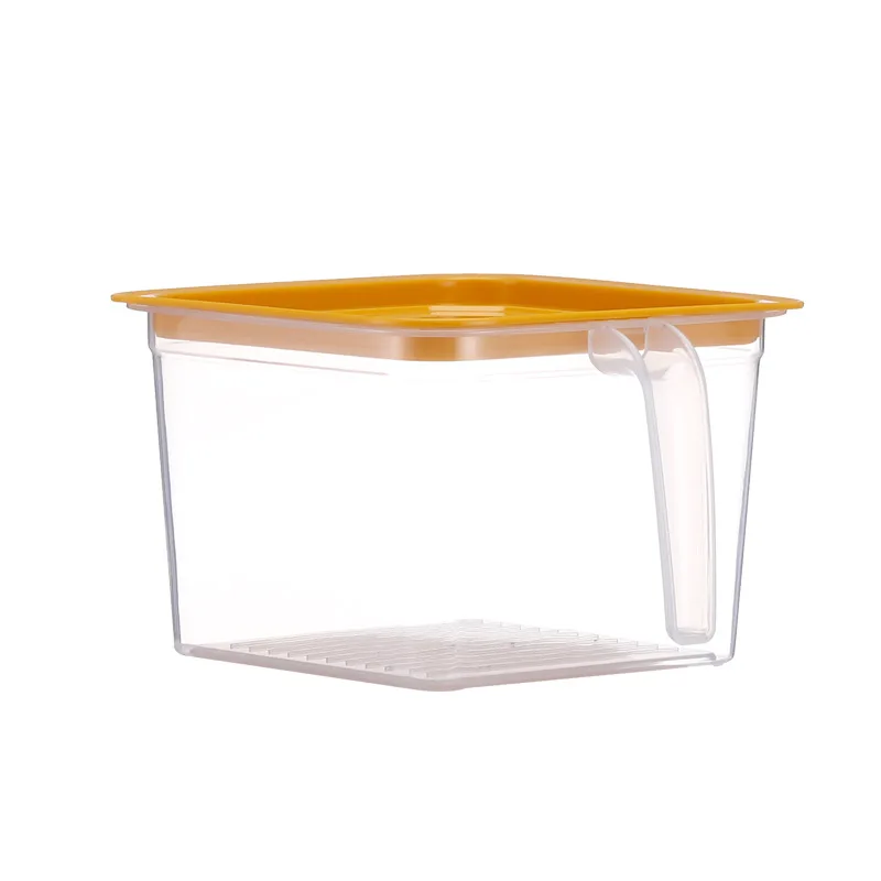 Double Layer Drainage Function Plastic Fruit Box With Cover Fridge Crisper For Food Storage
Double Layer Drainage Function Plastic Fruit Box With Cover Fridge Crisper For Food Storage