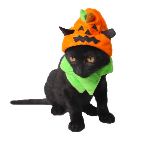 Halloween Pet Supplies Carnival Ghost Festival Dog Hat Cat Jewelry Trick or Treat Pumpkin Hat Wholesale, One
Halloween Pet Supplies Carnival Ghost Festival Dog Hat Cat Jewelry Trick or Treat Pumpkin Hat Wholesale, One