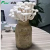 /product-detail/2019-whole-year-round-supplied-cultivated-white-shimeji-mushroom-button-mushroom-spawn-62267179631.html