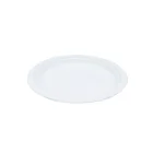2019 Hot Sale Sugarcane Biodegradable Plate, Restaurant Eco Disposable Plate And Children Plate
