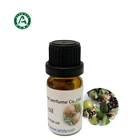 China 100% natural pure Cold pressing camellia essential oil