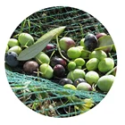Cheap price harvest net to collect fruit